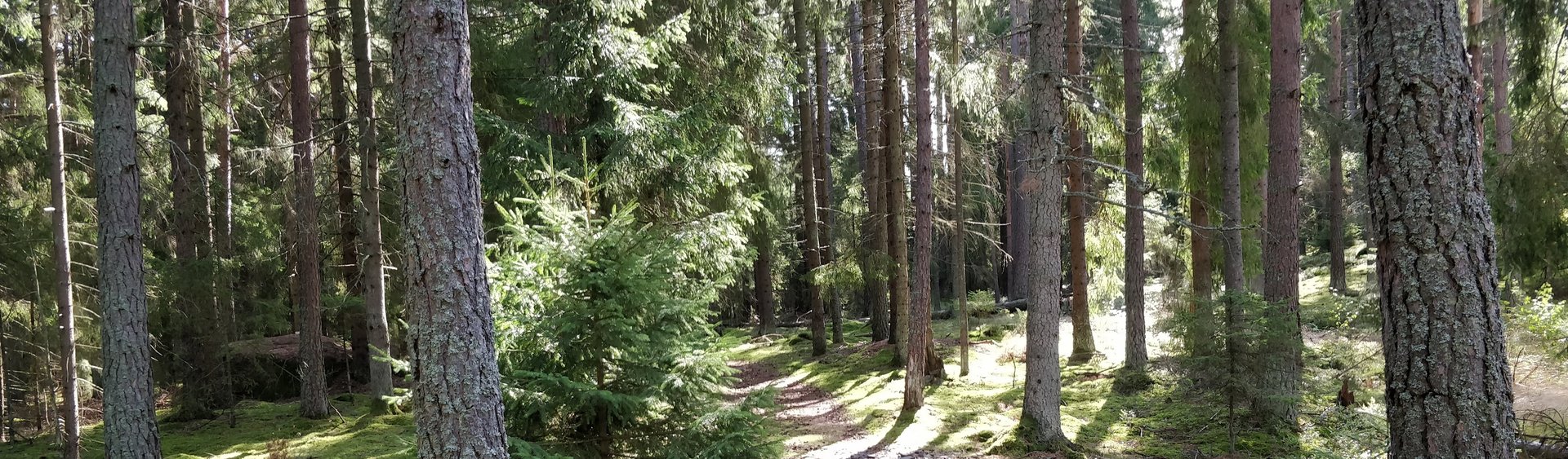 UrGott.se - Välkommen