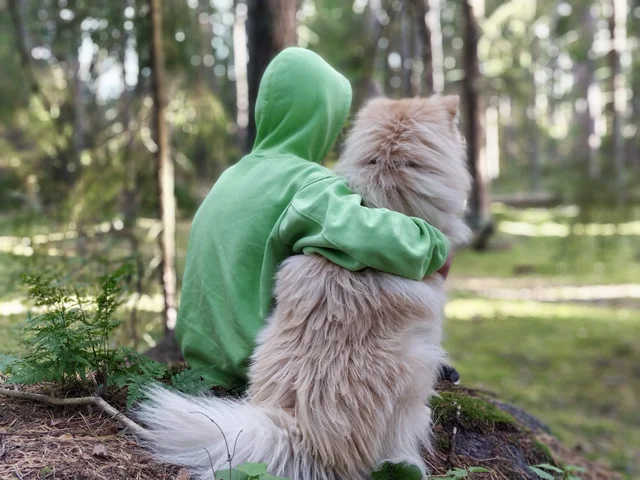 En människa sitter bredvid och kramar om terapihunden Abbe, foto taget bakifrån.