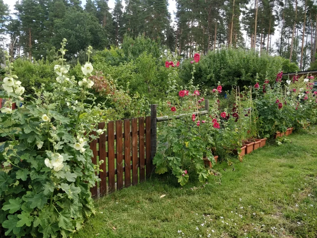 Hälsoträdgården Urgott