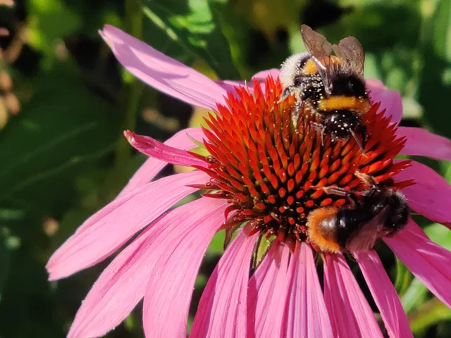 Kontaktuppgifter & hitta hit