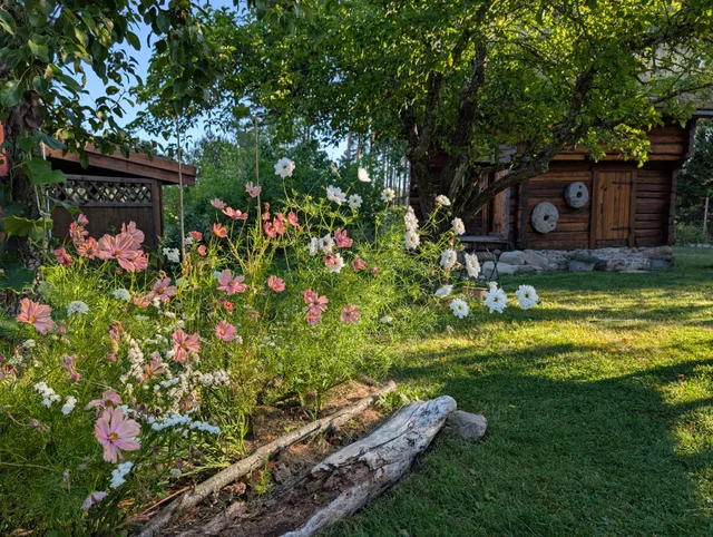 Trädgårdens historia