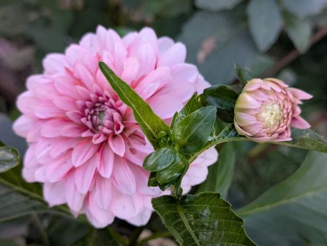 Maria Sundvalls utbildningsbakgrund