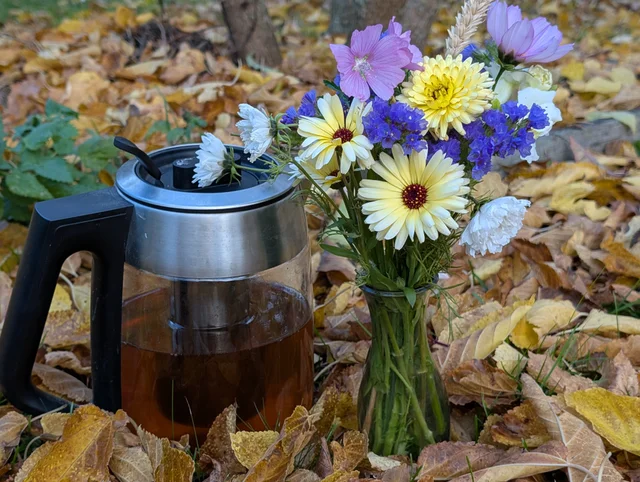 Tekanna och blommor i höstlöv