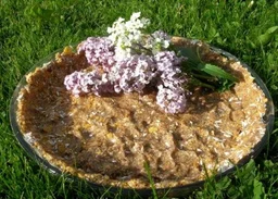 5 Minuters sommarpaj