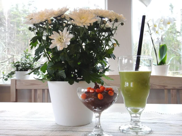 Avokado- och nässelsmoothie samt chokladavokadomousse